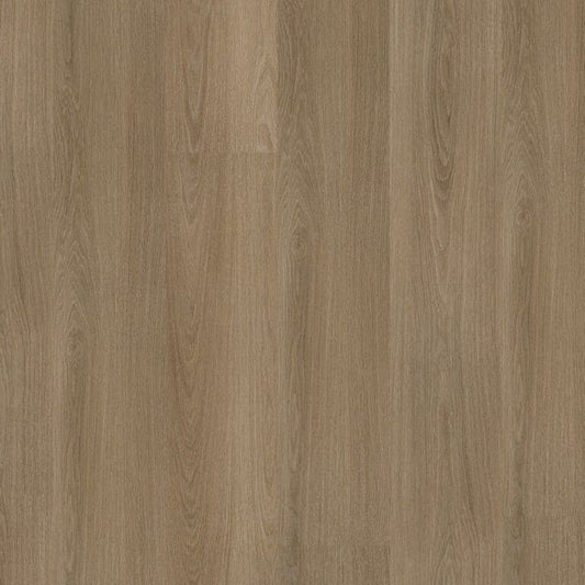Ambiant Soleno click SRC dark oak