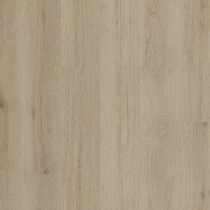 Ambiant Valento dryback beige