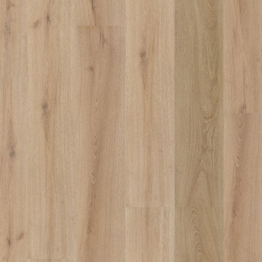 Ambiant Valento dryback light brown