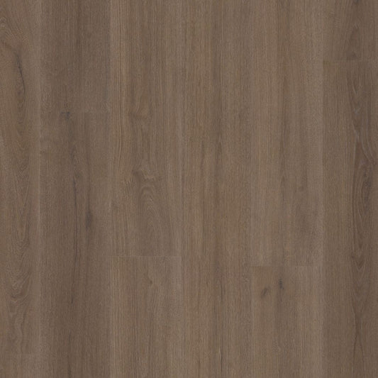 Ambiant Valento dryback brown
