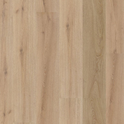 Ambiant Valento click SRC light brown