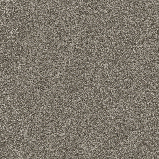 Ambiant Tide Gallia warmgrijs 0102 | 400 cm