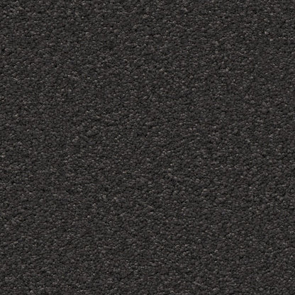 Ambiant Newport zwart 0200 | 400 cm