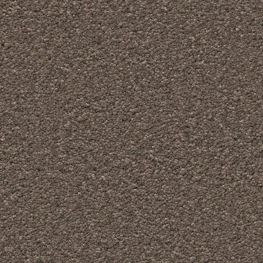 Ambiant Newport bruin 0600 | 400 cm