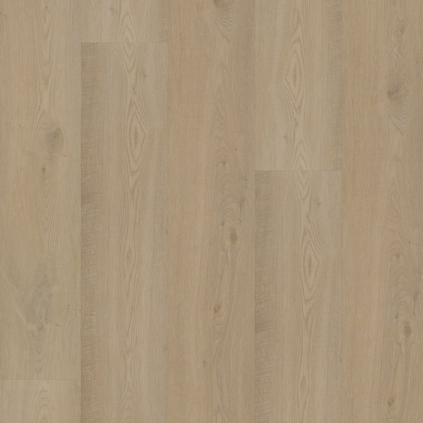 Bodiax Plank Pickering Oak dryback