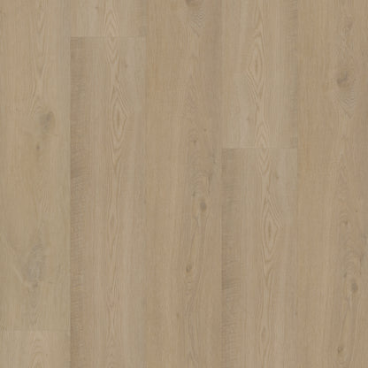 Bodiax Plank Pickering Oak dryback