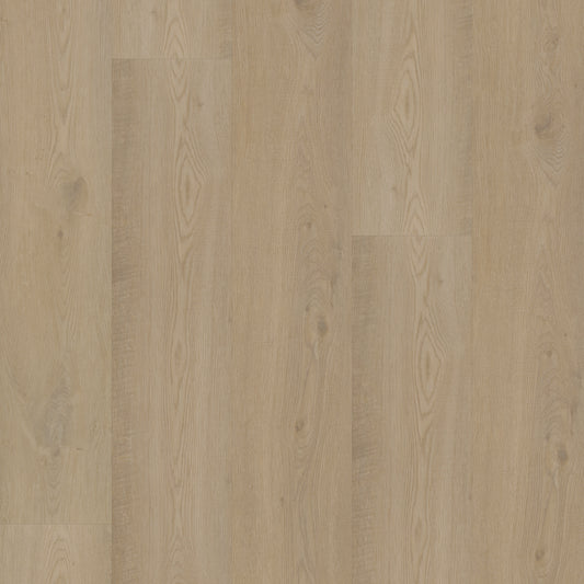 Bodiax Plank Pickering Oak dryback