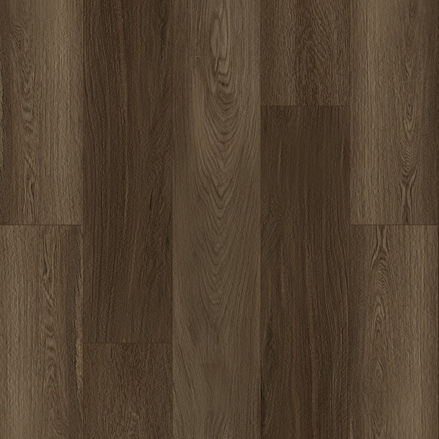 Bodiax Velvet Espresso click