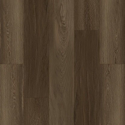 Bodiax Velvet Espresso click