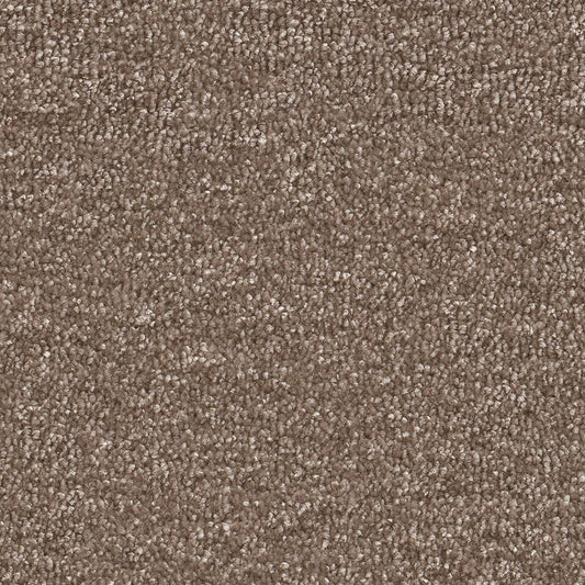 Ambiant Nifty bruin 0600 | 400 cm