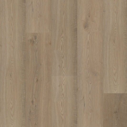 Bodiax Plank Langley Oak dryback