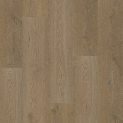 Bodiax Plank Belleville Oak dryback