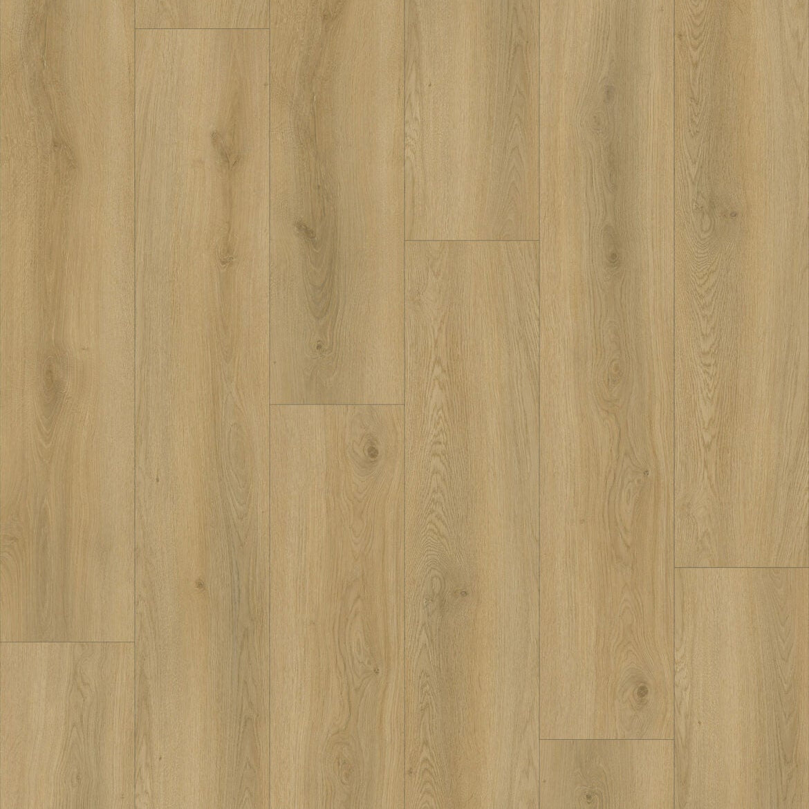 V-FLOOR WB Plank SP03 SPC click