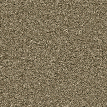 Ambiant Newport olijf 0912 | 400 cm