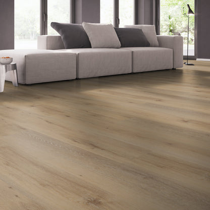 Belakos Attico 800 dryback