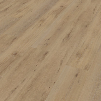 Belakos Attico 800 dryback