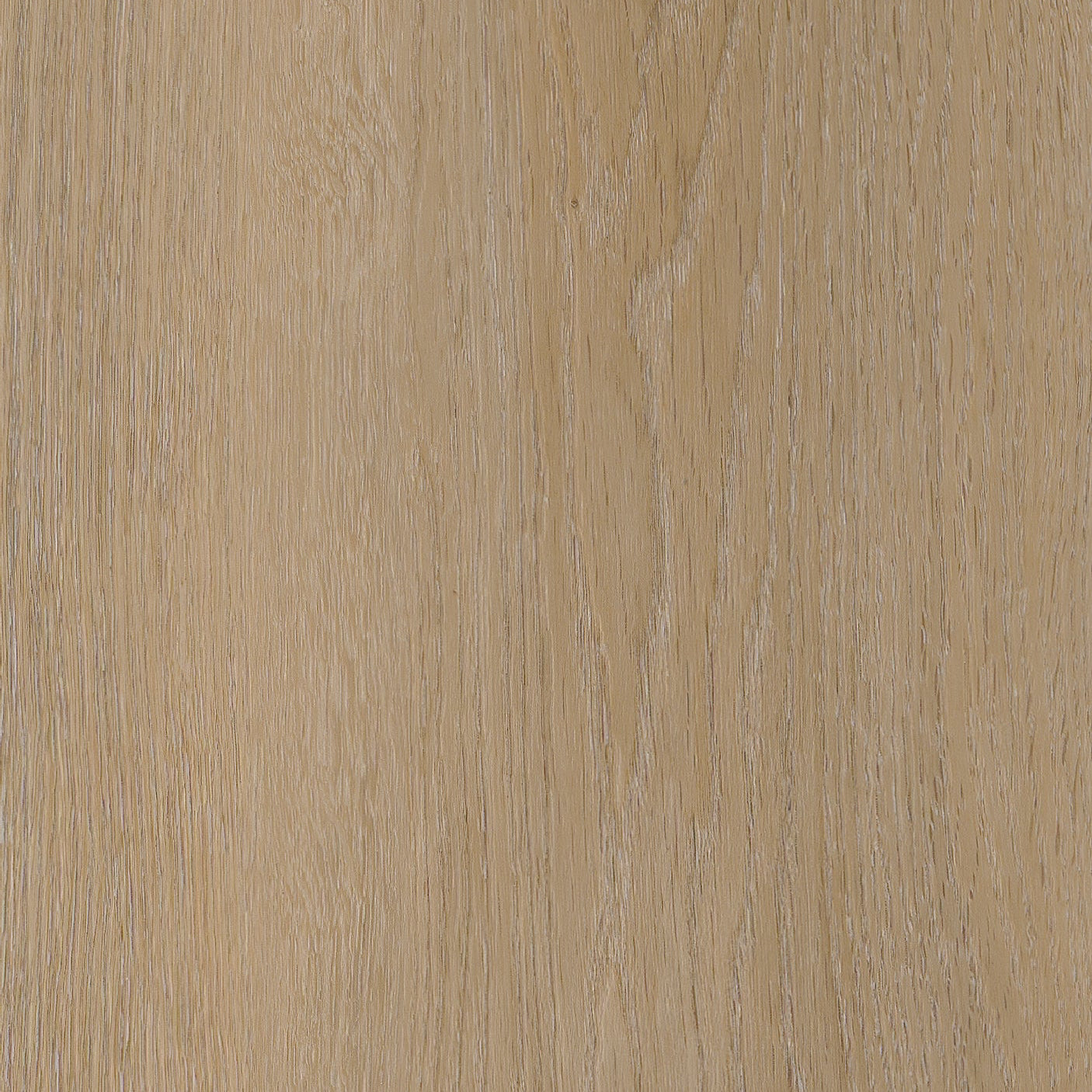 Belakos Attico 810 Rigid Click