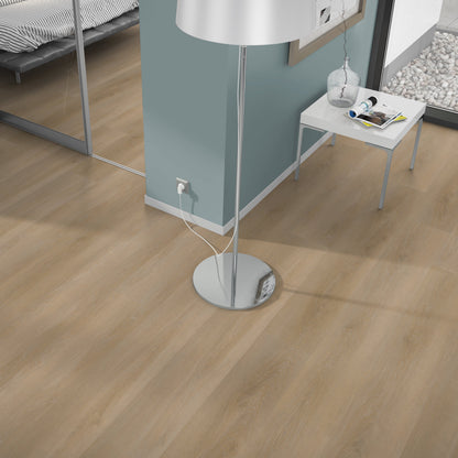 Belakos Attico 810 Rigid Click