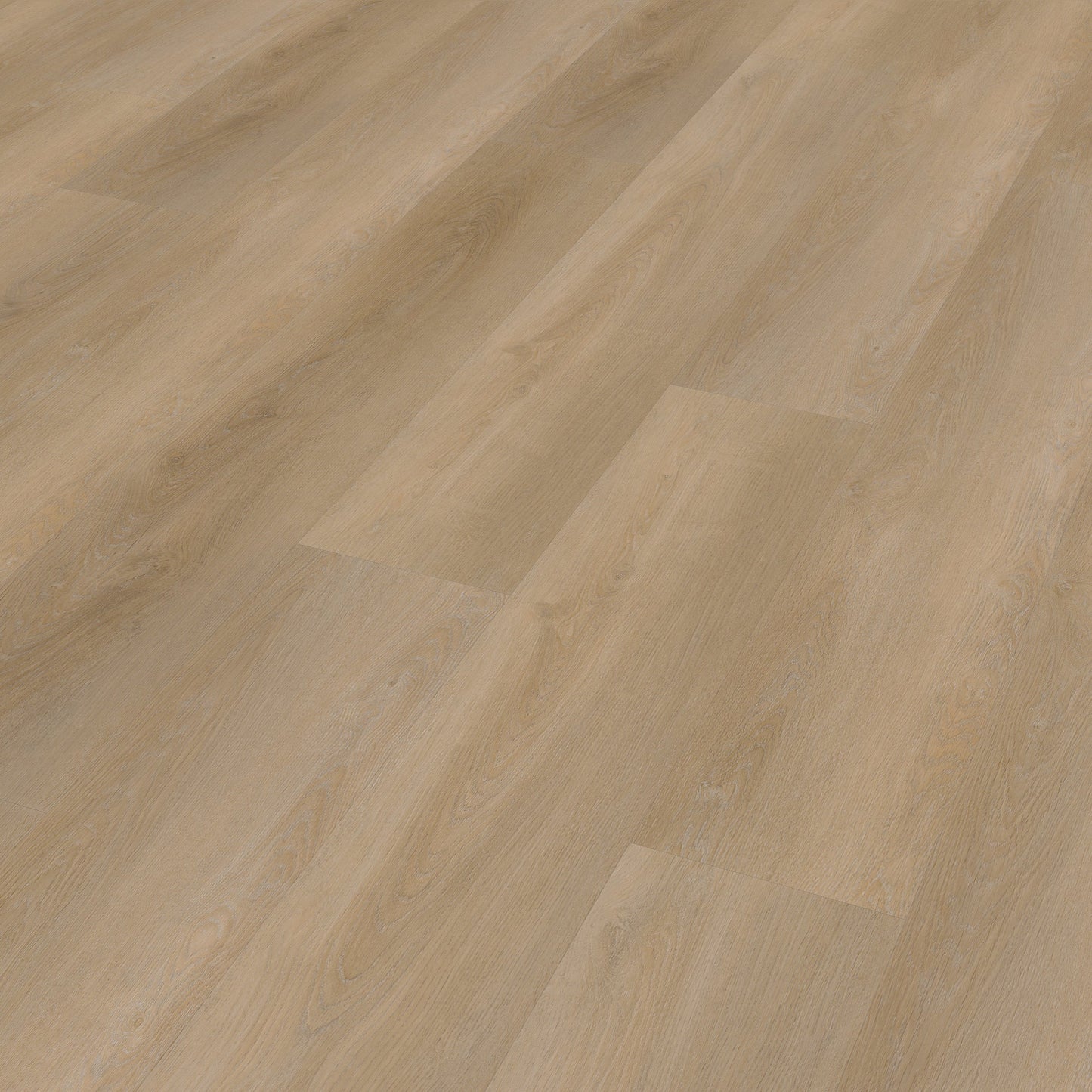 Belakos Attico 810 Rigid Click