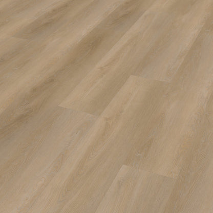 Belakos Attico 810 Rigid Click