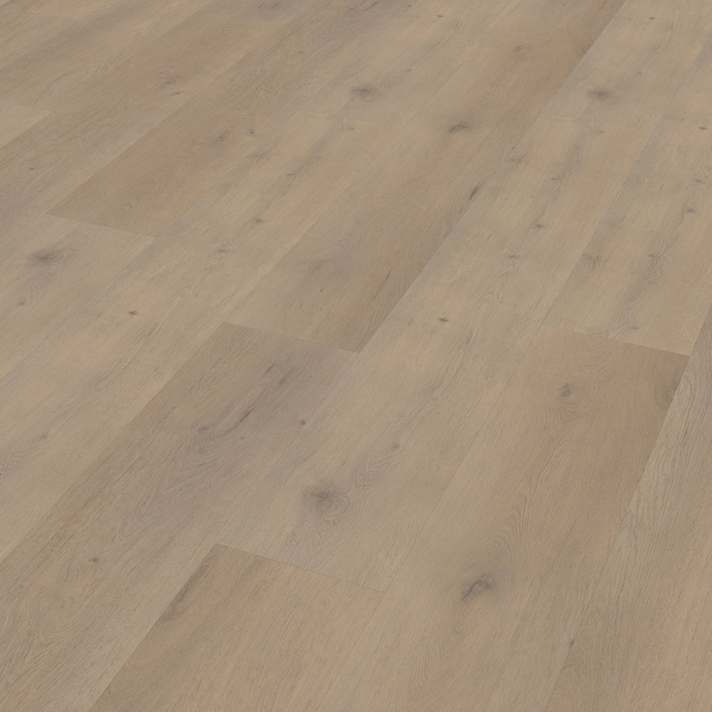 Belakos Attico 820 dryback