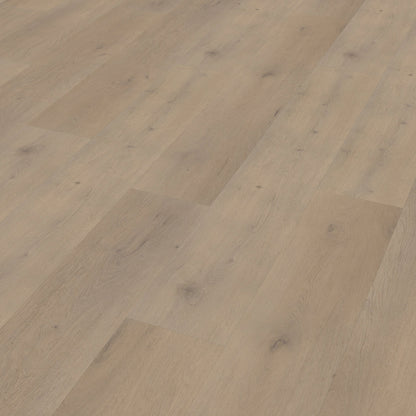 Belakos Attico 820 dryback