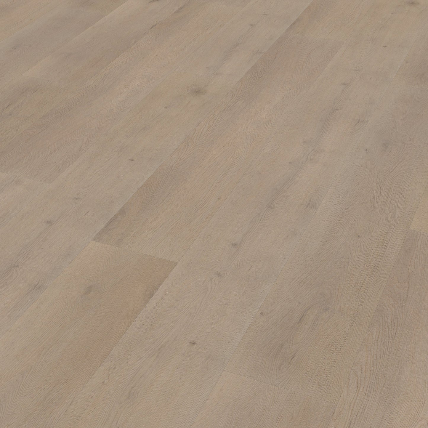 Belakos Attico 830 Rigid Click