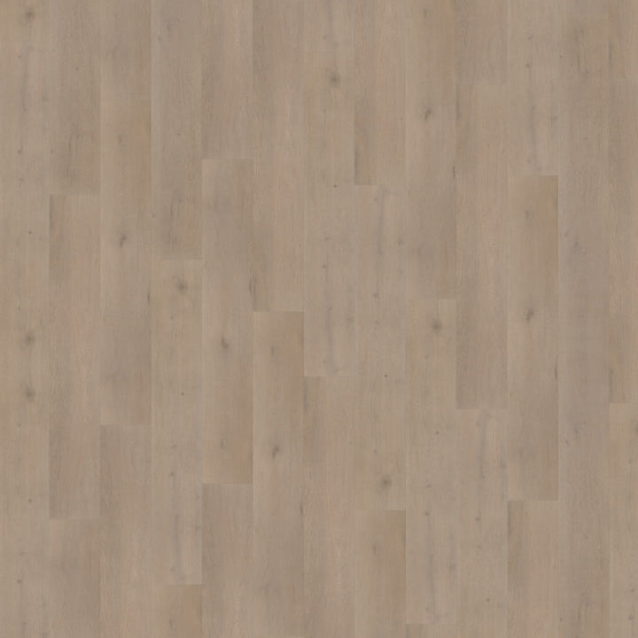 Belakos Attico 830 Rigid Click