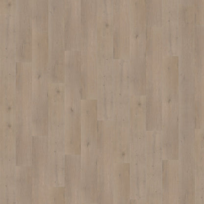 Belakos Attico 830 Rigid Click