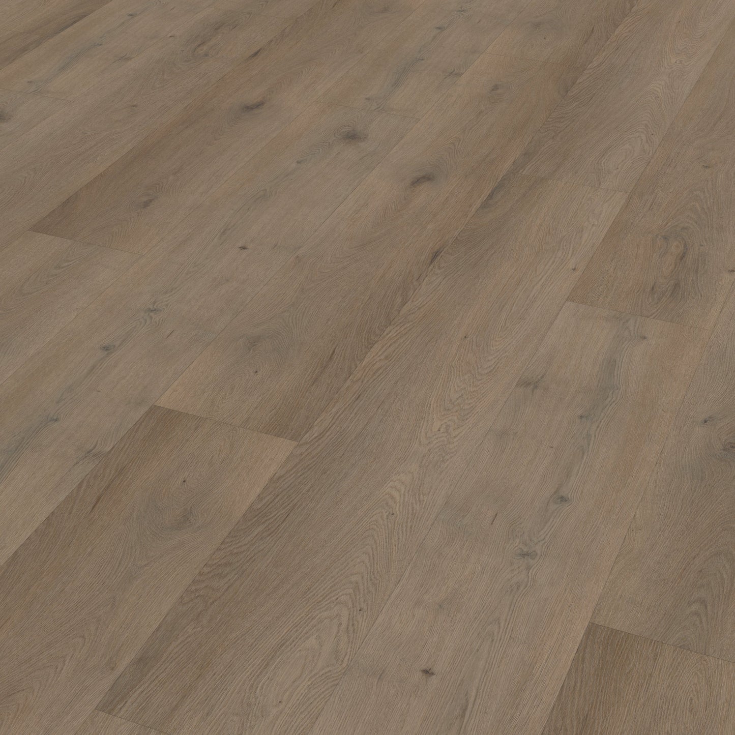 Belakos Attico 840 Rigid Click