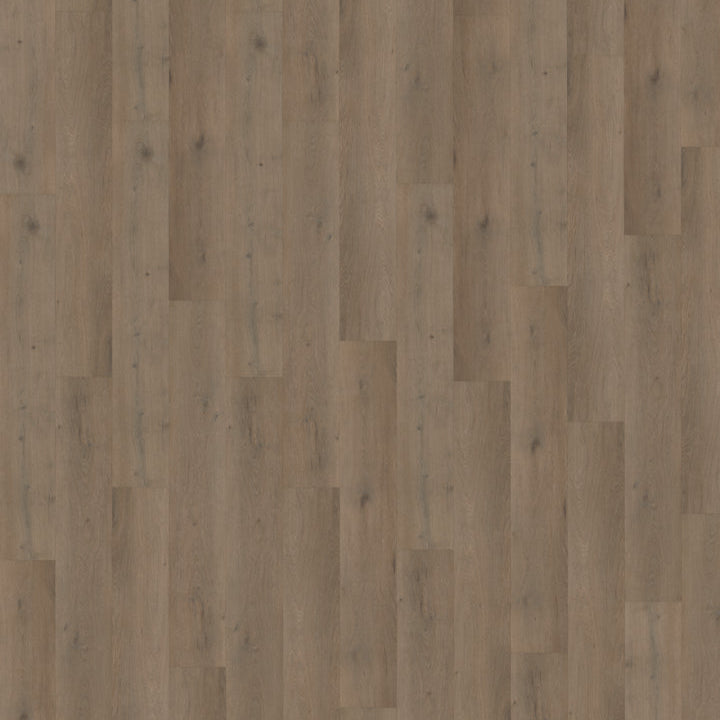 Belakos Attico 840 Rigid Click