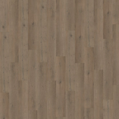 Belakos Attico 840 dryback