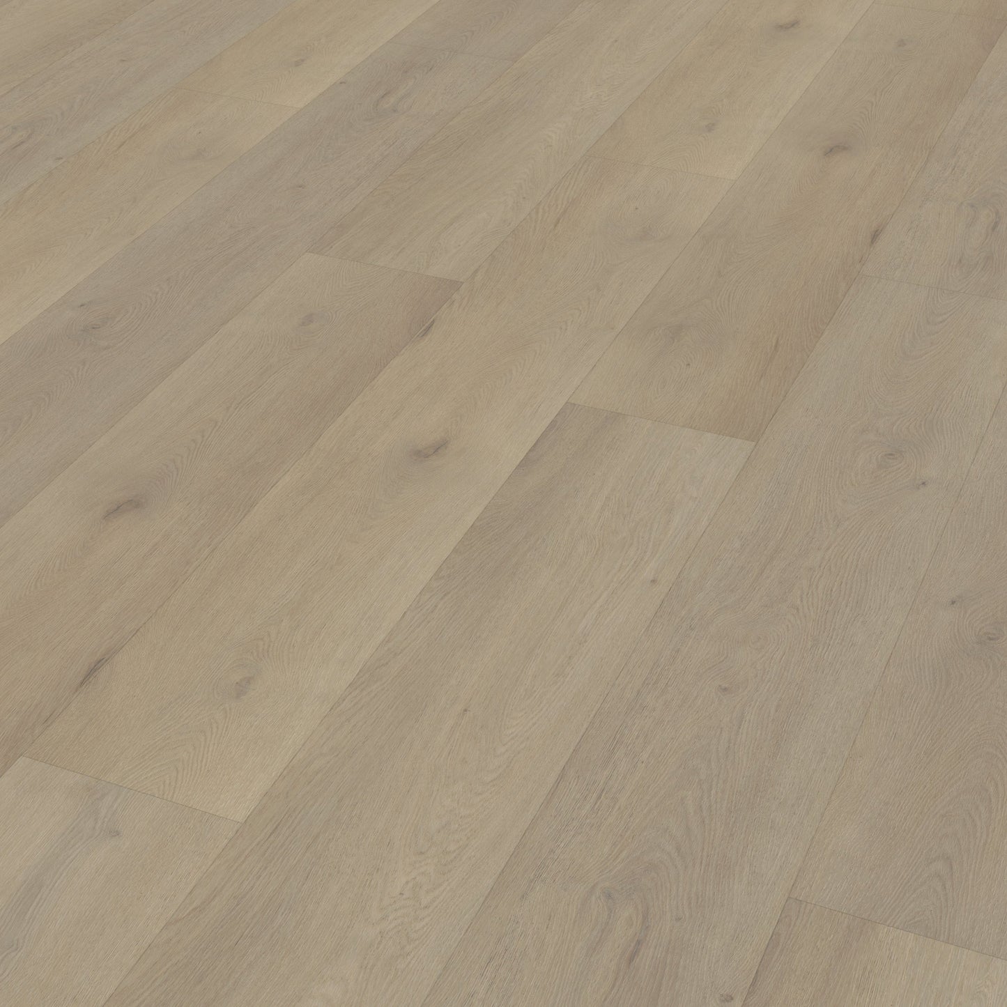 Belakos Attico 850 Rigid Click