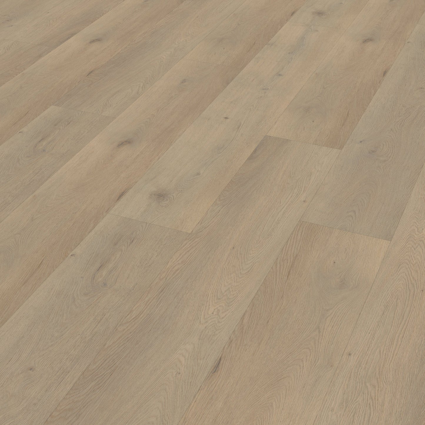 Belakos Attico 860 Rigid Click