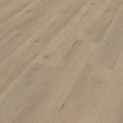 Belakos Attico 860 dryback