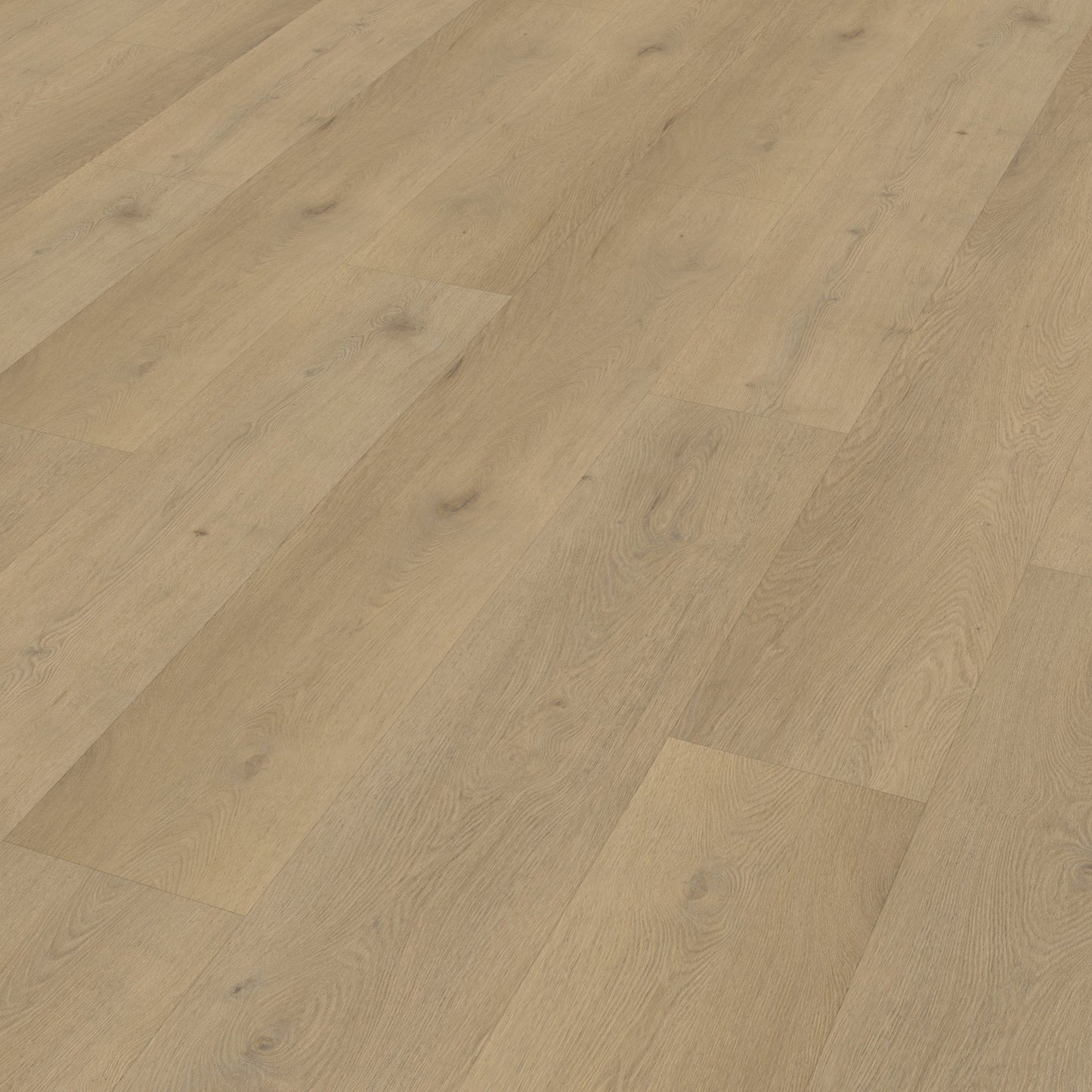 Belakos Attico 870 dryback