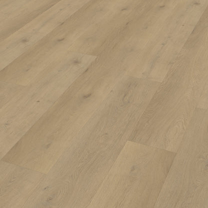 Belakos Attico 870 dryback