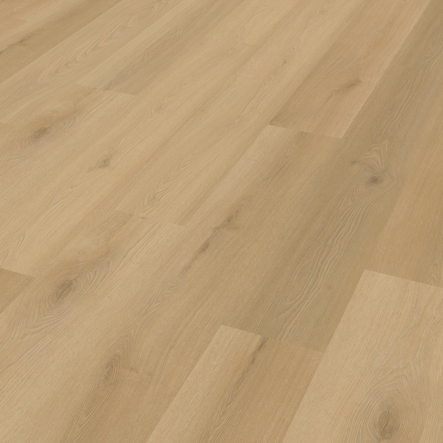Belakos Borgo 300 dryback