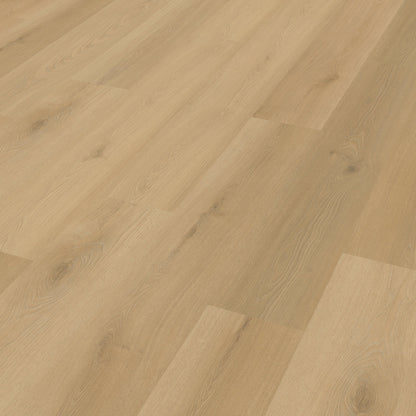 Belakos Borgo 300 dryback