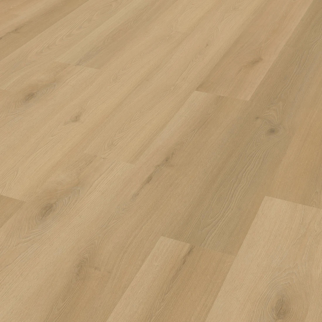 Belakos Borgo 300 | Rigid Click