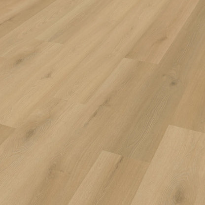 Belakos Borgo 300 | Rigid Click
