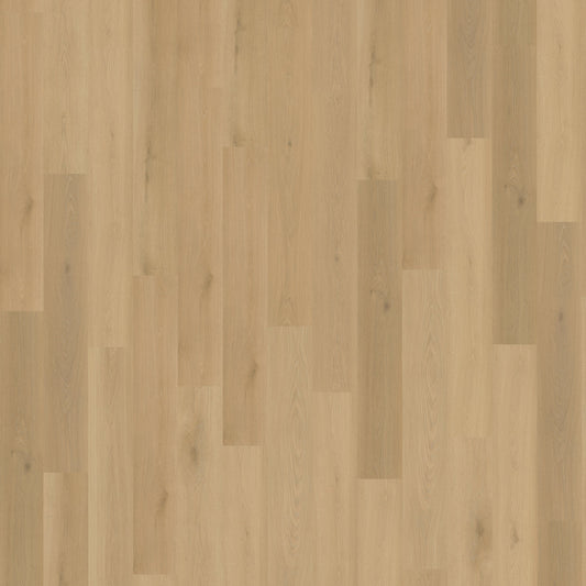 Belakos Borgo 300 | Rigid Click