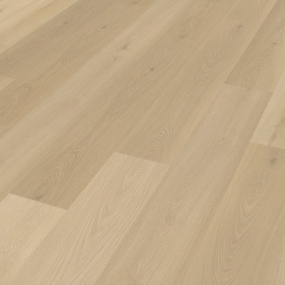 Belakos Borgo 310 dryback