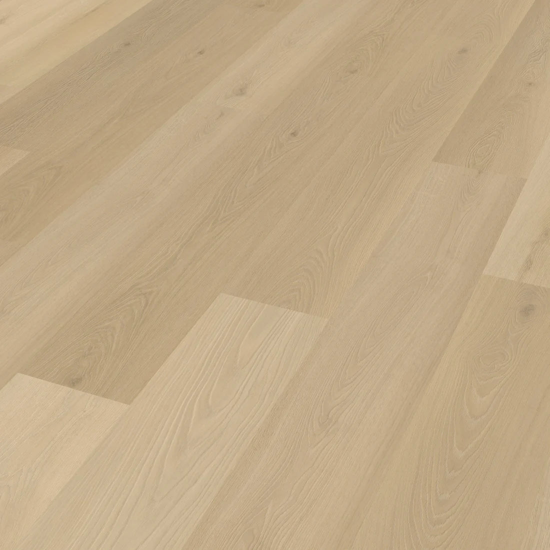 Belakos Borgo 310 | Rigid Click