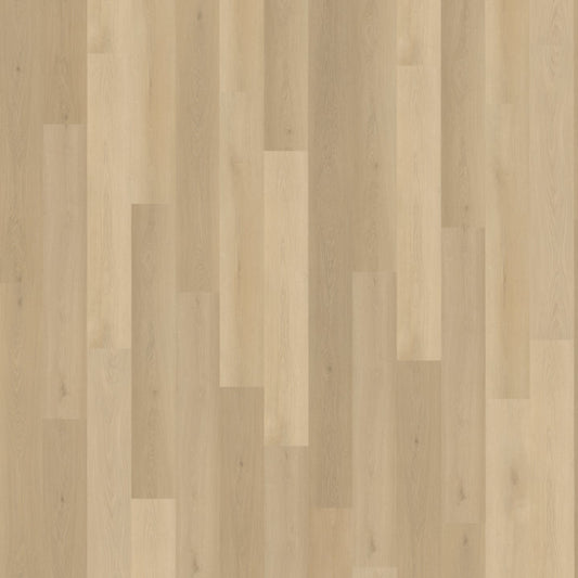 Belakos Borgo 310 dryback
