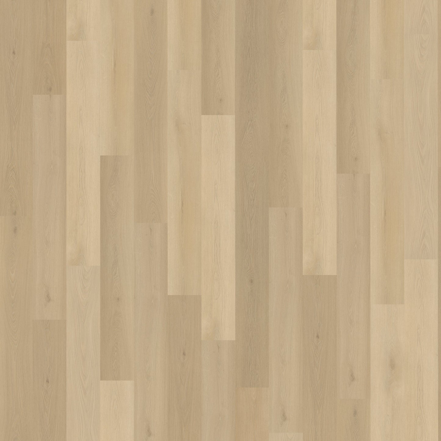 Belakos Borgo 310 | Rigid Click