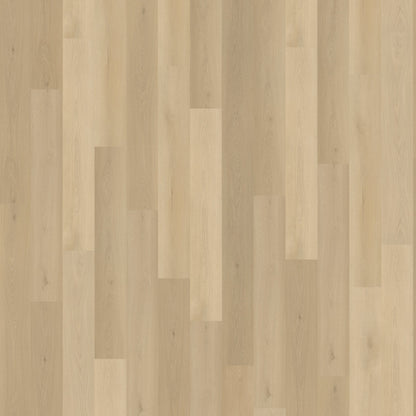 Belakos Borgo 310 | Rigid Click