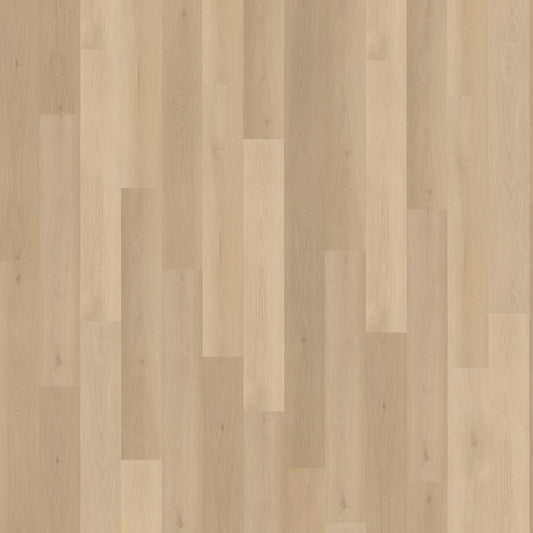 Belakos Borgo 310 | Rigid Click