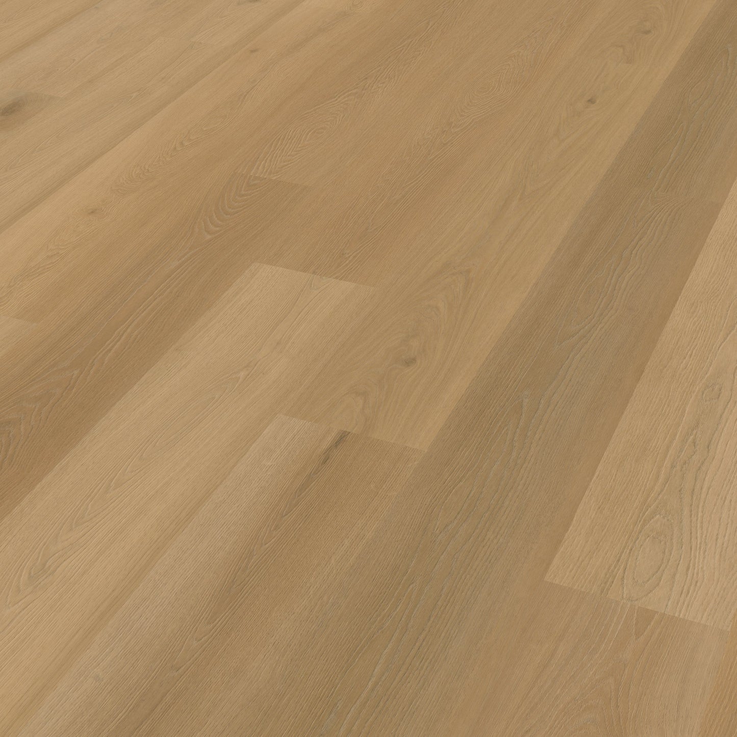 Belakos Borgo 320 dryback