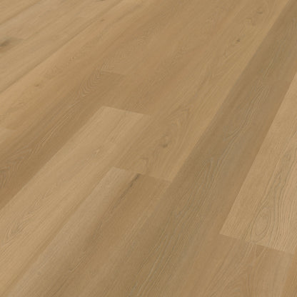 Belakos Borgo 320 dryback